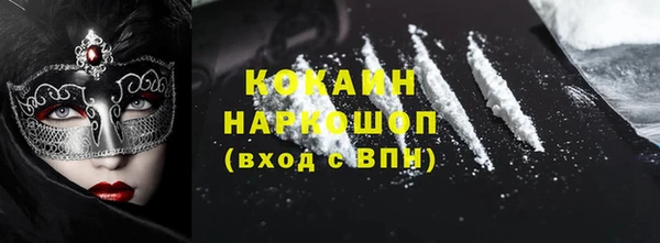 прущие грибы Аркадак