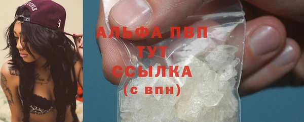 прущие грибы Аркадак