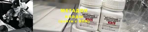 прущие грибы Аркадак