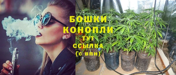 шишки Армянск