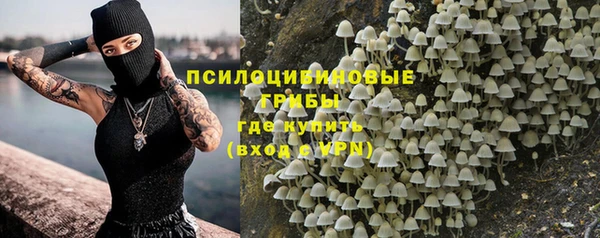 шишки Армянск