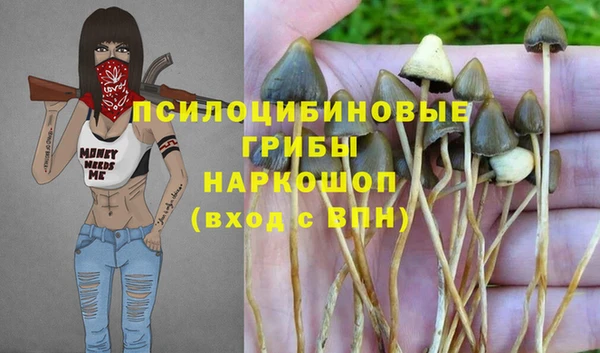 скорость Алексин