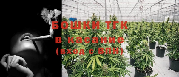 шишки Армянск