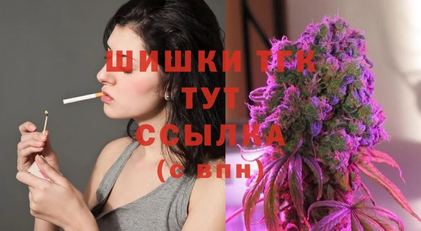 шишки Армянск