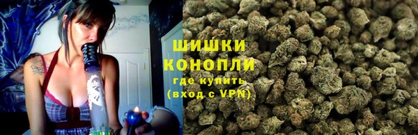шишки Армянск
