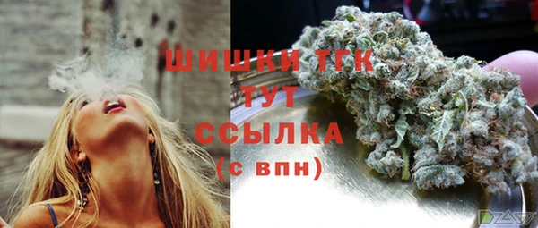 прущий лед Арсеньев