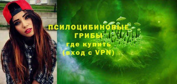 шишки Армянск