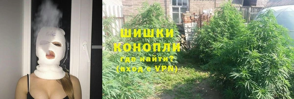 прущие грибы Аркадак