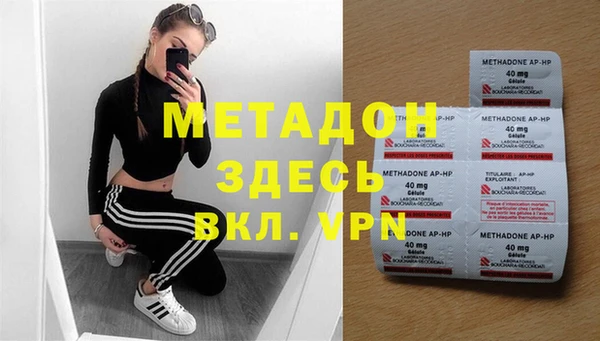 прущие грибы Аркадак