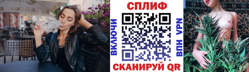 Канабис сатива Миньяр